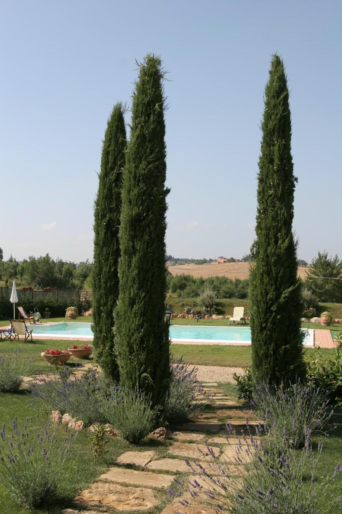Agriturismo Renaccino Siena Eksteriør bilde